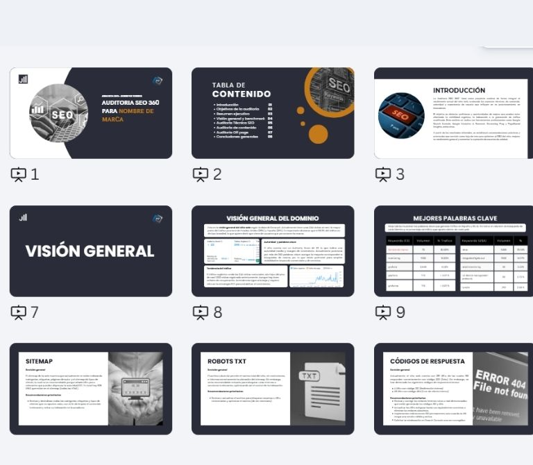 como se ve una auditoria seo