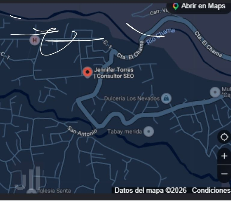 mapa consultor seo en venezuela